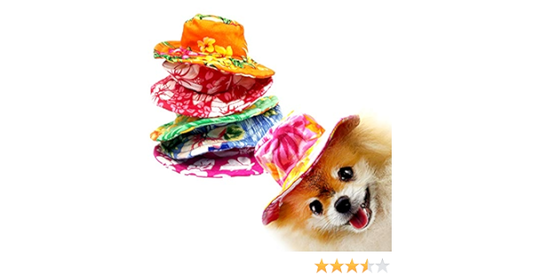dog french fry hat