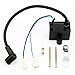 QAZAKY CDI Ignition Coil for 49cc 50cc 60cc 66cc 80cc 2-Stroke Engines Motor Motorized Bicycle Bike primary