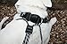 Sporn Big Dog Halter No Pull Harness, Large Size, Reflective No Pull Dog Harness for Large Dogs, Heavy Duty, Adjustable, Lightweight, Padded & Safe for Leash Training, Black