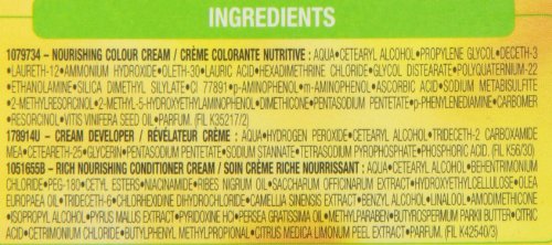 GARNIER NUTRISSE HAIRCOLOR – 73 HONEYDIP (DARK GOLDEN BLONDE) 1 EACH
