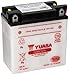 Yuasa YUAM229BY YB9-B Battery, Multi-Colored