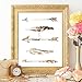 Watercolor Arrows and Feathers Art Print - Unframed - 8x10 | Native American Heritage - Boho Wall Decor - Southwest Artwork