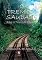 Livro O Trem Da Saudade