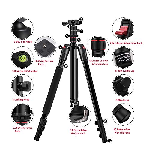 5 HEOYSN+Compact+Aluminum+Detachable+17+64lbs