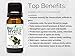BioFinest Myrtle Oil - 100% Pure Myrtle Essential Oil - Soothe Cough - Premium Quality - Therapeutic Grade - Best For Aromatherapy - FREE E-Book (10ml)