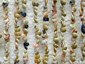 Amazon Com A S A R Shell Bathroom Bedroom Beaded Door Or Window