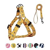 QQPETS Dog Harness Leash Set Adjustable Heavy Duty