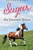 Sugar: My Journey Home by