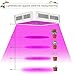 300w LED Grow Light, Upgraded Full Spectrum Reflector-Series Plant Lamp with Heatproof Case for Greenhouse Hydroponic Indoor Plant by Lightimetunel