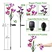 Tvird Outdoor Solar Garden Stake Lights,Solar Garden Lily Lights,2 Sets Solar Flowers with 8 Flowers,Multi-Colors Changing LED Decorative Lights Suit for Garden,Patio, Backyard(Purple and Blue)