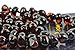 Baltic Amber Necklace for Adult - Natural Amber from Baltic Region, Genuine Baltic Amber (17.7 inch, cherry)