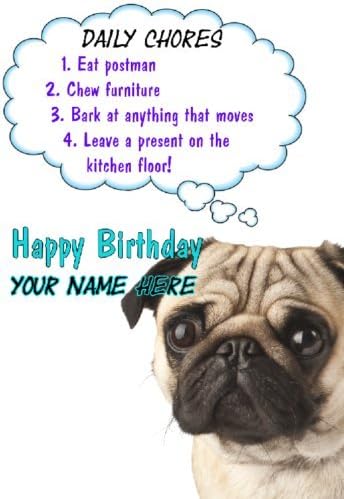 Regles De Chien Carlin Anniversaire Carte Codeuu Carte De Vœux Motif Personnalise Amazon Fr Fournitures De Bureau