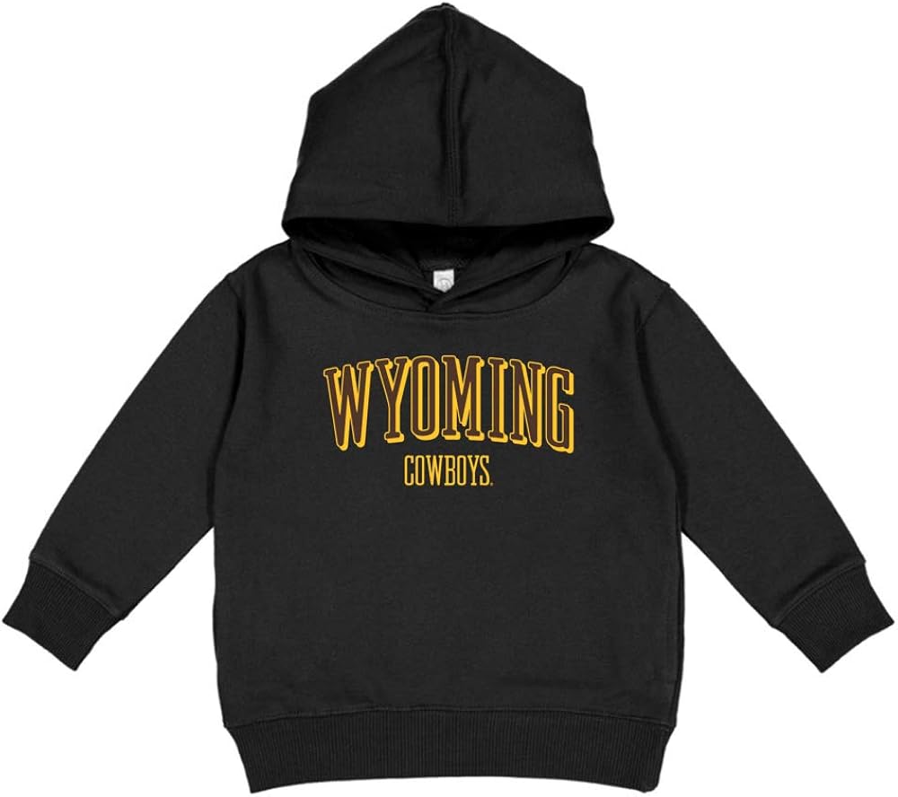 toddler cowboys hoodie