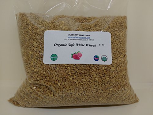 Wheat Berries, (kernels), Soft White, 2.5 lbs (two and a half pounds), USDA Certified Organic, Non-GMO, BULK.
