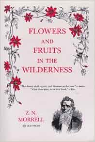 Flowers And Fruits In The Wilderness Or Forty Six Years