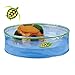 Zuru Turtle - Playset, Bulk,6Pc Toy