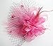 Cizoe Fascinators Hats for Women with Hair Clip Tea Party Hats Feather Wedding Headware Bridal Headpiece(1-Pink)