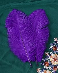 VIJIV Natural Purple Large Ostrich Feathers Bulk 10