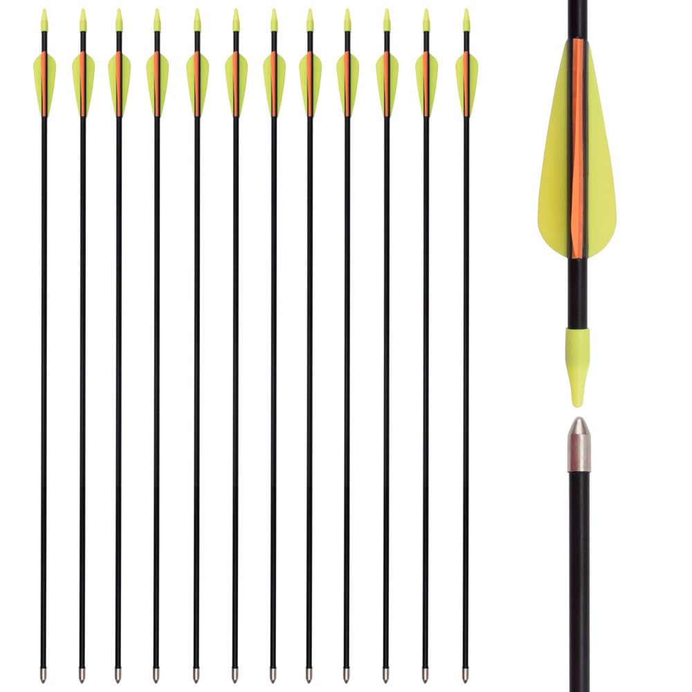 28 Inch Fiberglass Arrows Archery Recurve Bow Practice Target for Beginners Youth Arrows Outdoor (Pack of 12)