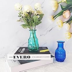20pcs Glass Bud Vases Set,Colored Flower Vases in