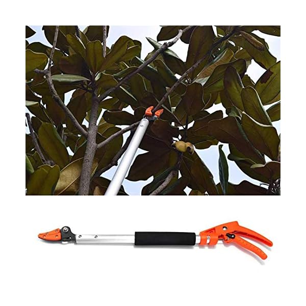 lang Reach Astschere Obst Ernteschere Rosenschere Baumschneider Garden ObstpflÃ¼cker Gartenschere mit Aluminiumgriff fÃ¼r Astzweige Trimming Lopper – Bild 7