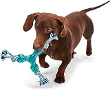 Petface Little Tripod Puppy Chew Toy Blue - Durable Teething Training Aid view 5