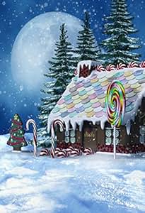 Amazon.com : Leyiyi 6x8ft Photography Background Merry
