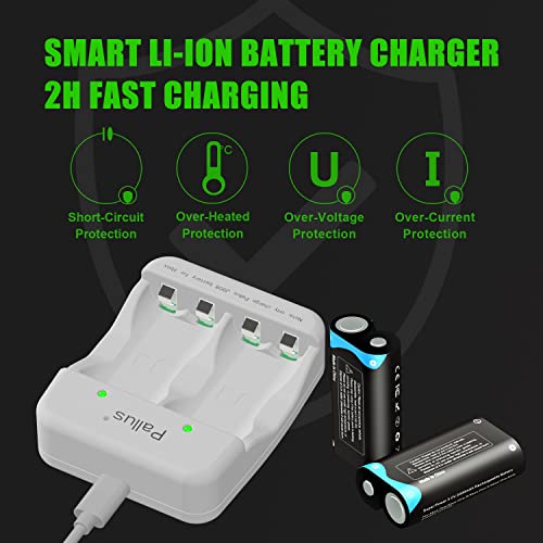 Lithium Rechargeable Xbox One Controller Battery Pack with Charger