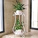 Metal Tall Plant Stand Indoor/Outdoor,Iron Flower Pot Holder Small Plant Holders,Flower Pot Stand Flower Pot Supporting,Potted Plant Stand Plant Rack Planter Stand,for Home,Garden,Patio(White,24.4in)thumb 2
