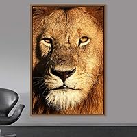 Framed Canvas Wall Art Lions Animals Chic Dramatic Lion Living Room Multicolor Photography - 16x24 inches