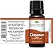 Plant Therapy Cinnamon Bark Essential Oil 10 mL (1/3 oz) 100% Pure, Undiluted, Cinnamon Oil for Diffuser, Spray, Candle Making, Spicy, Sweet Scent, Therapeutic Grade