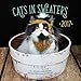 Cats in Sweaters 2017: 16-Month Calendar September 2016 through December 2017