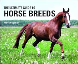 The Ultimate Guide To Horse Breeds Andrea Fitzpatrick