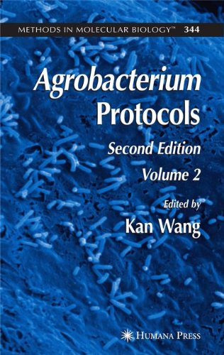 Agrobacterium Mediated Gene Transfer Hubpages