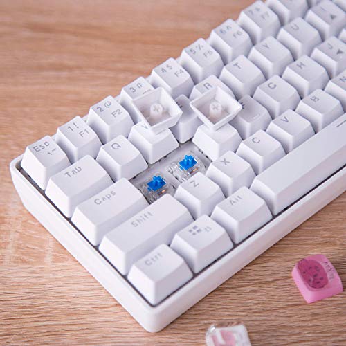 DGG YK600 RGB 60 Compact Mechanical Keyboard,Wired and Wireless Dual