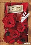 Plantes à parfums (Terra curiosa) (French Edition) by