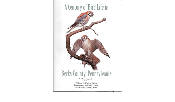 A Century Of Bird Life In Berks County Pennsylvanai William D Uhrich Earl L Poole 9780965459419 Amazon Com Books