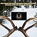 The Antler Box Premium Elk Antler Dog Chews (1 Pound Box) (X-Large (2 Pieces) Whole/Split Mixed)