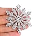 EVER FAITH Women's Austrian Crystal Winter Snowflake Brooch Clear Silver-Tone