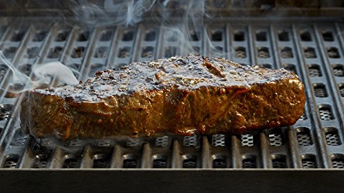 Camp Chef SmokePro DLX PG24B Pellet Grill (Bronze) with Sear Box - Bundle (Stainless Steel)