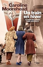 Un  train en hiver