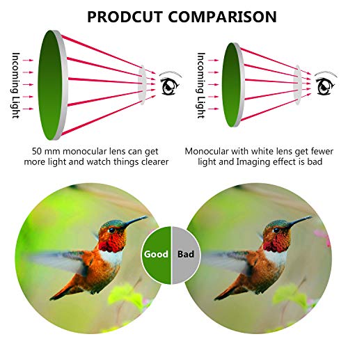 12x50 Monocular Telescope, HOKONE HD Compact Monocular Scope With Retractable Eyepiece, Phone Clip and Waterproof BAK4 Prism for Bird Watching/ Outdoors /Hunting/Camping/ Ball Games/ Concerts - Thumbnail 6