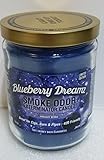 Smoke Odor Exterminator Candle, Blueberry Dreamz