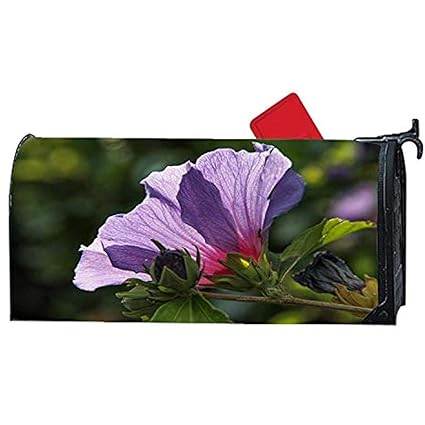 Amazon Com Diuangfoong Sunset Dusk Log Cabin Lake Mailbox Cover