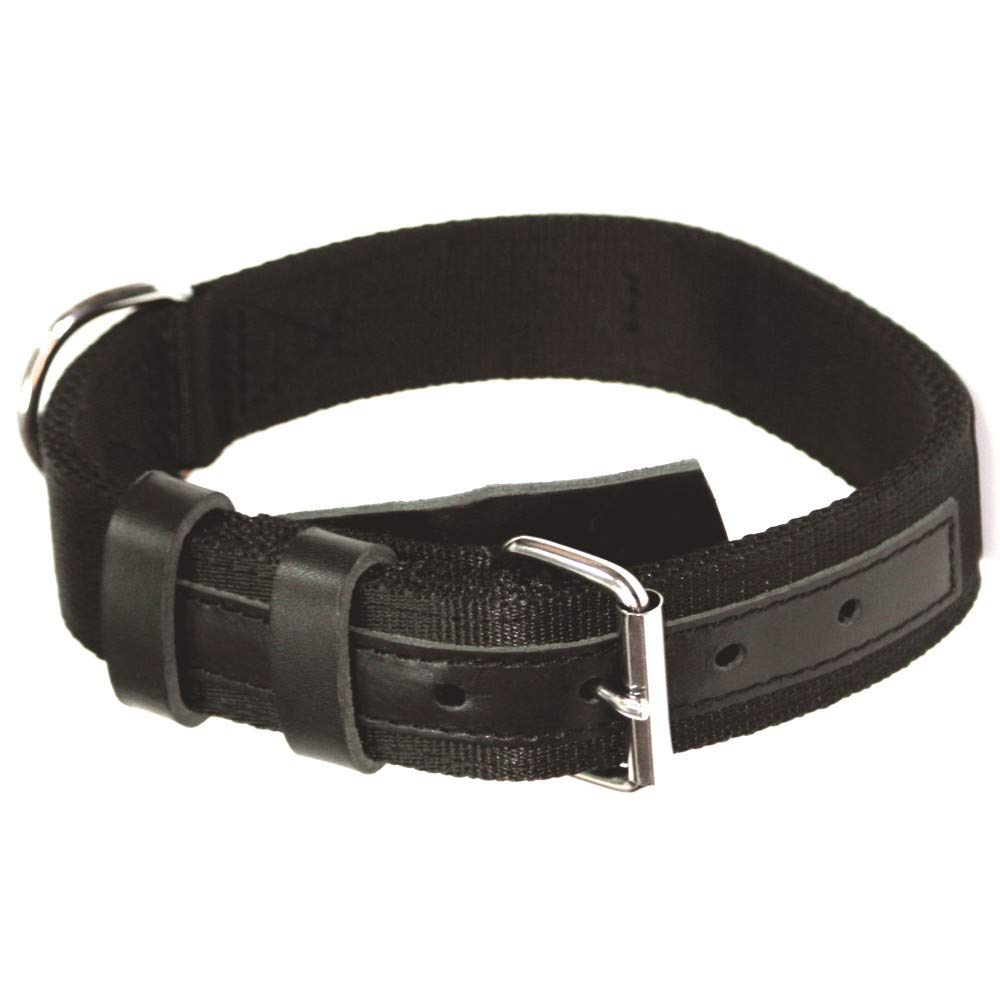 DINGO GEAR Civilian Material Dog Collar Strengthened Universal for Daily Use and Dog Training Black S04045