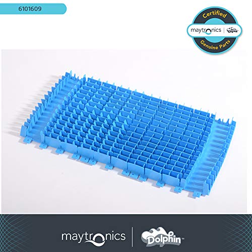 Dolphin Replacement Brush - Blue