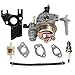Hipa GX160 Carburetor for Honda GX200 GX 160 GX120 5.5 HP 6.5 HP Engine WP30X Water Pump Pressure Washer with Fuel Filter Spark Plug Tune Up Kit