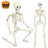CAMIRUS 3FT Skeleton, 36