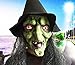 Long Hair Halloween Scary Witch Face Mask with Hat for Party
