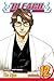 Bleach, Vol. 12